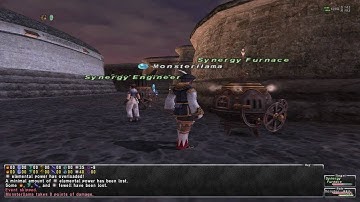 Final Fantasy XI Online: Synergy