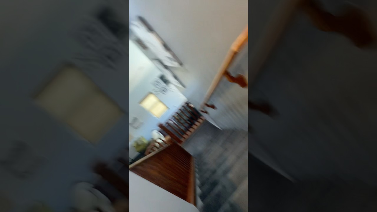 Mom Told Me Clean Training Chihuahua Remiroyale92 Viralvideo Fyp Trendingreels - YouTube Auto PHP Script