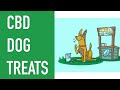 CBD DOG TREATS - Everything You Need to Know