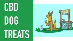 CBD DOG TREATS - Everything You Need to Know