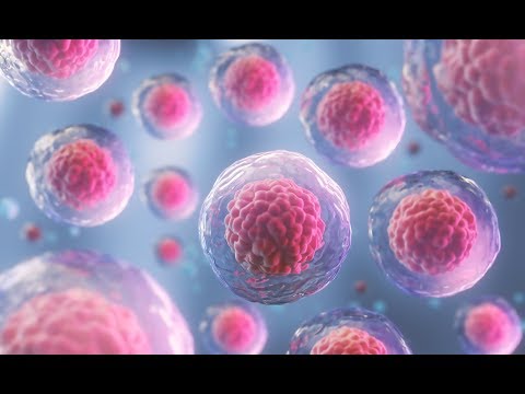 فيديو: من اكتشف الخلايا الجذعية المستحثة متعددة القدرات؟