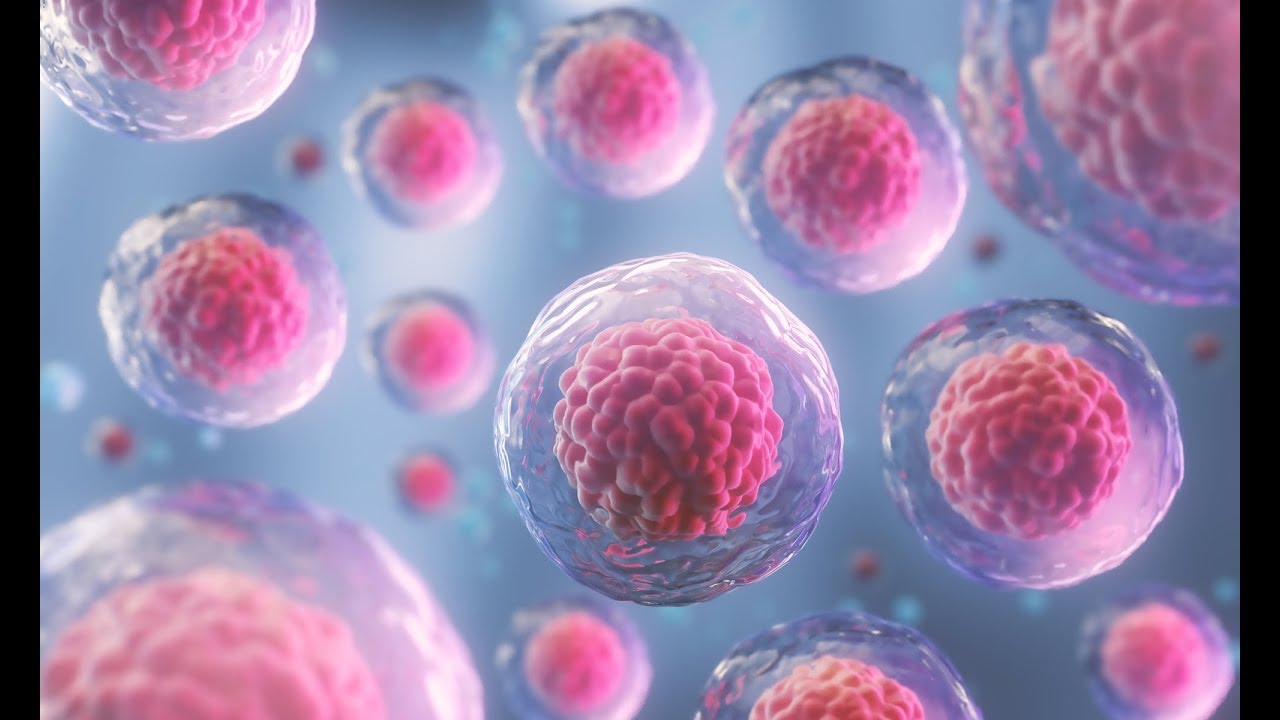 ماهي الخلايا الجذعية  ؟