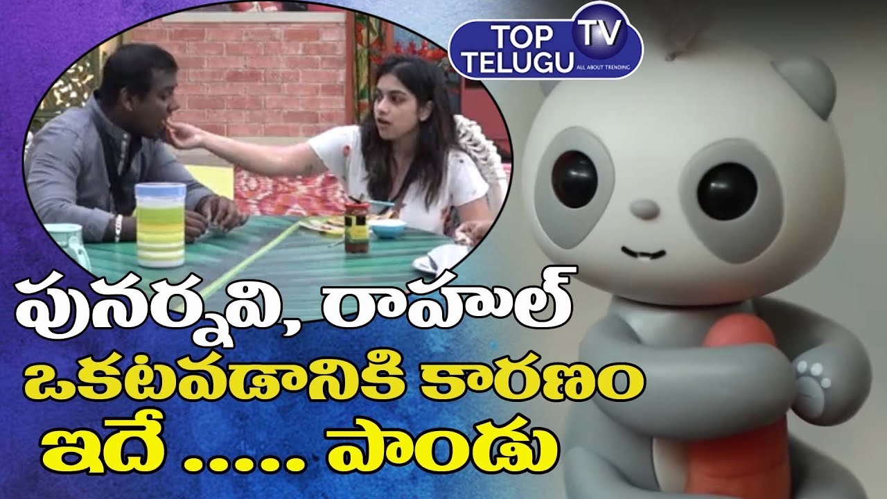 varun sandesh vithika Panda Revealed About Punarnavi & Rahul In Bigg Boss Telugu 3 Latest News | Star Maa | Top Telugu TV