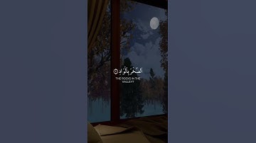 تلاوة مميزة من سورة الفجر 🎧🌷/ حالات واتس اب دينية
