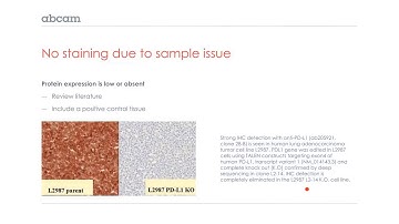 IHC: Troubleshooting (no staining)