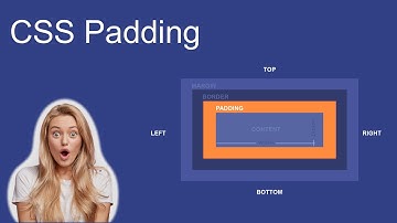 Learn CSS Padding in One Video | Padding top, Padding bottom, Padding right, Padding Left In Hindi