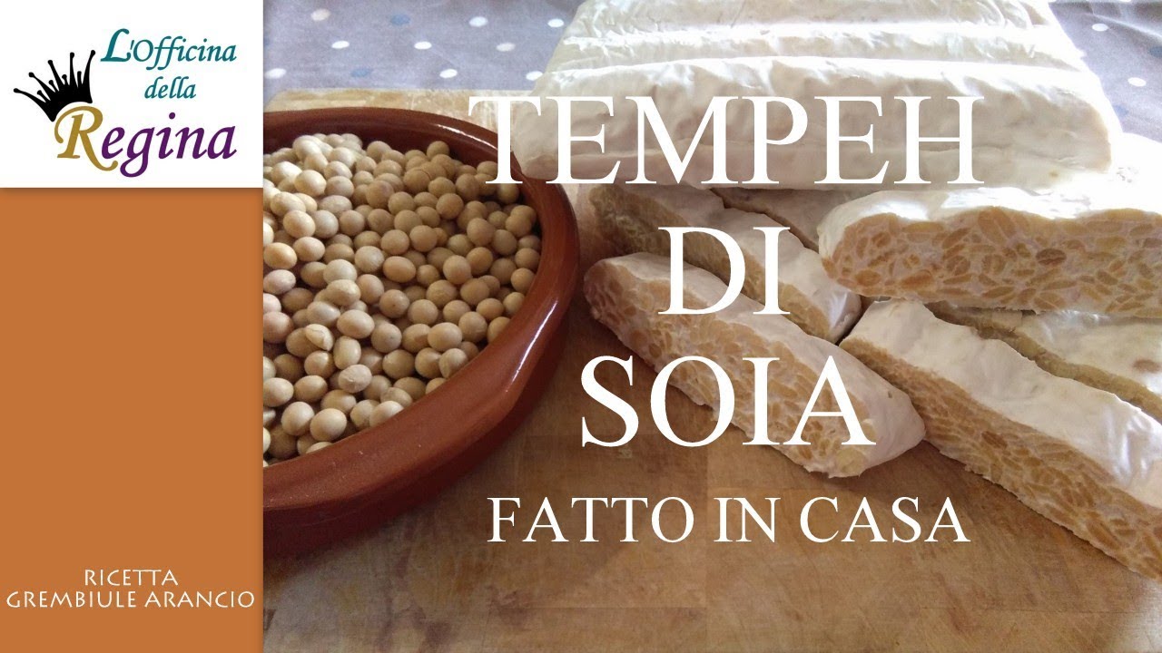 Tempeh di soia fatto in casa