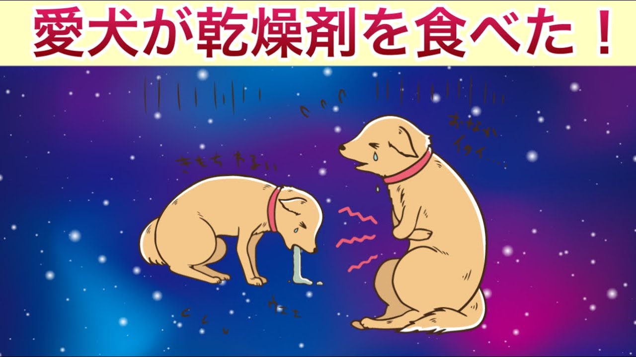 乾燥 剤 犬 食べ た