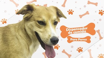Dispensador de comida para mascotas