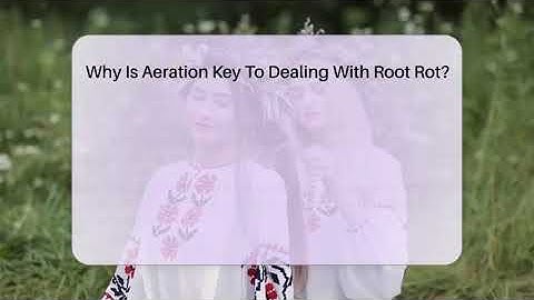 Why Is Aeration Key To Dealing With Root Rot? - The Plant Enthusiast