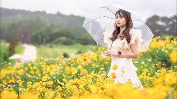 Lạc vào cánh đồng hoa bất tận The Florest giữa núi rừng Tà Nung 🌿🌿🌿#theflorest #dalat