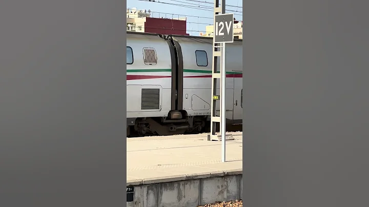 The fastest train in Africa 320kph / 201mph #tgv #africa #railways #trains #fyp