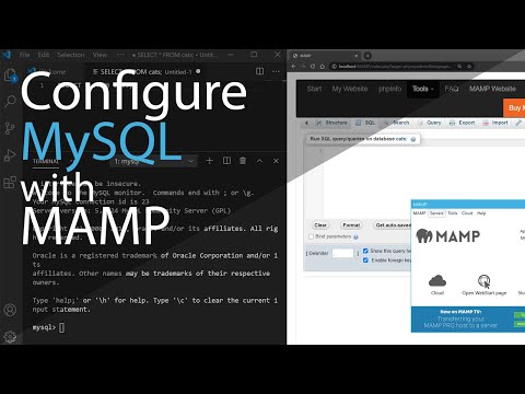 How to Configure MySQL with MAMP