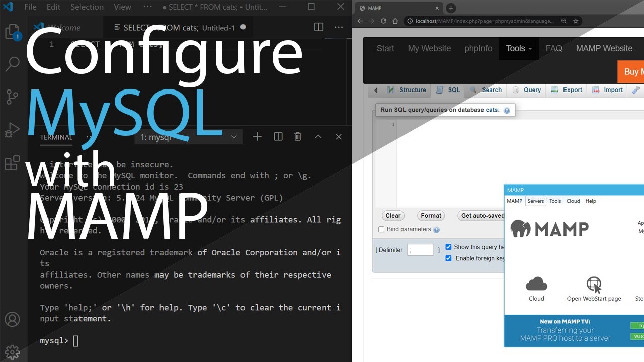 mamp update sql mamp update sql