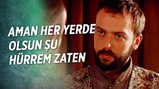 Herkes Bana Trip Atıyor Anlamadım Bu Işi