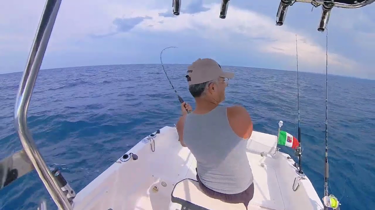 Traina  costiera agli alletterati con lo Splash Fishing Ring