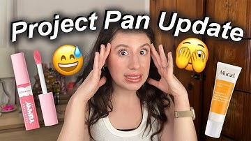 Project Pan Update #2 | Challenges and Being Realistic