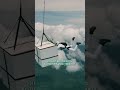 ПОСАДИТЬ ДЕРЕВО В ПРЫЖКЕ | СМОТРИ КАК