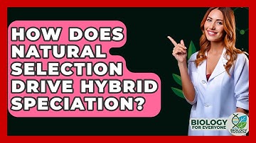 How Does Natural Selection Drive Hybrid Speciation? - Biology For Everyone