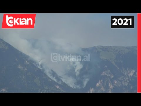 Video: Qeni Mbron Dhitë Familjare Nga Zjarri I Egër Në Kaliforni