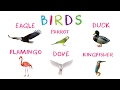 🔴 Learn Birds for Children | Bird Names for Children