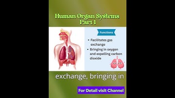 Human Organ Systems 1 #facts #science #scienceeducation