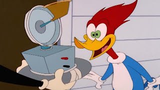 Woody gets a fun new toy | Woody Woodpecker