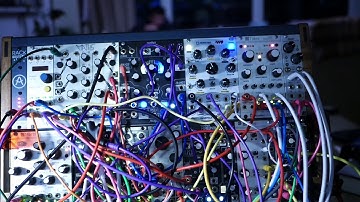 Modular Ambient Yellowstone Bird Jam