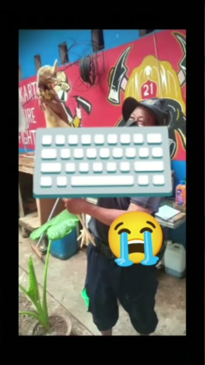 Dikejar kejar ayam kalkun
