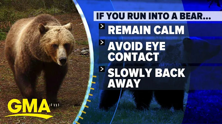 Hikers seen being chased by grizzly bear in national park l GMA