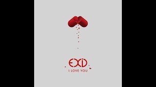 1 HOUR LOOP  1 시간 EXID 이엑스아이디  알러뷰 I LOVE YOU