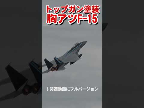 かっこよすぎ！トップガン塗装の空自F-15【フルバージョン有ります】
