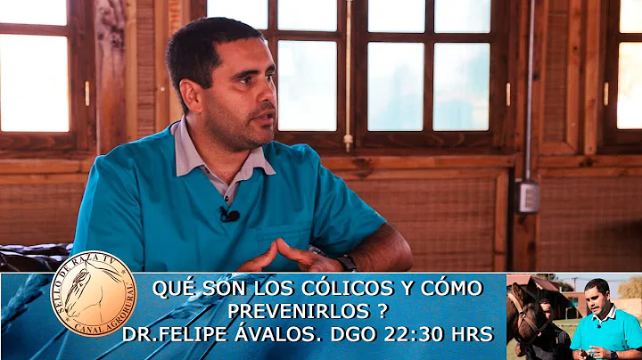 Sello de Raza Cap495 Los Clicos en los Caballos co...