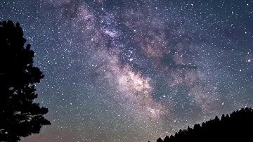 سورة الضُحى بصوت القارئ محمد النقيب| Surah Ad-Duha [93] - Al-Qur'an al-Kareem