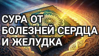 СУРА ОТ БОЛЕЗНЕЙ СЕРДЦА, ОТРАВЛЕНИЯ. И БЛАГА ОТ АЛЛАХА ИН ША АЛЛАХ ЗА ЧТЕНИЕ ЭТОЙ СУРЫ