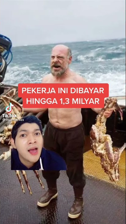 Wajah asli Calon Sarjana || tiktok calon sarjana riil SUBSCRIBE CHANEL INI YA GAISS