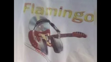 Flamingo  kandjoze💃
