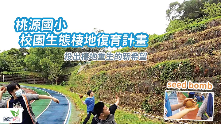 ＃自然悠遊教學分享｜臺北市桃源國小臺美校園生態棲地復育計畫，看孩子們用種子泥球，投出生態環境重生的契機 - 天天要聞