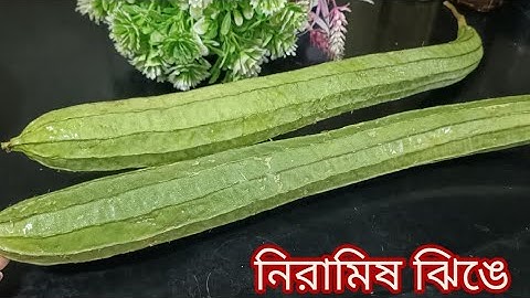 নিরামিষ ঝিঙে এই ভাবে বানিয়ে দেখুন বাচ্চা থেকে বড় সকলেই চেঁটেপুঁটে খাবে | Jhinge recipe 