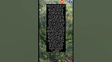 سندريلا سلمى ج 4 اعترافات حكايات واقعية قصيرة فضفضة 