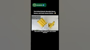 Meet The Soft Robots That Can Feel You 🤖| #robotics #innovation #technology #future