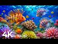 Marvel at Sea Animal in The Best 4K ULTRA HD Aquarium-Dive Into The Mesmerizing Underwater Realm #90