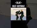 Martial Arts Technique Silat Self Defense Technique Martialart Silat