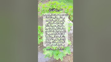 سورة المائدة ٤١ #قرآن #قرآن_كريم #اكسبلور #quran #قران_كريم #قران #قرأن