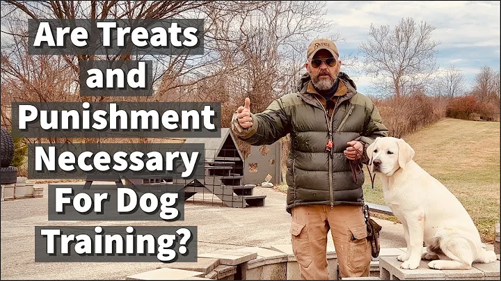 Are Treats and Punishment Necessary For Dog Traini...