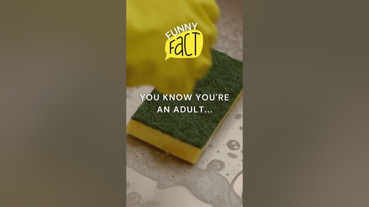 🧽 SpongeWorthy Celebrations YouTube