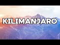 Tiwa Savage, Black Sherif, Young Jonn - Kilimanjaro (Lyrics Video)