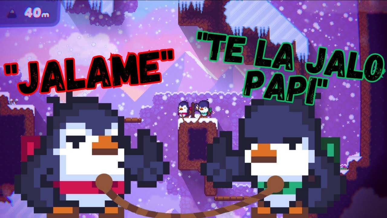 DOS PINGÜINOS UN POCO ESQUIZOFRENICOS SUBIENDO HACIA EL OLIMPO 🤑🥵