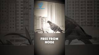 Find Freedom in Your Own Company