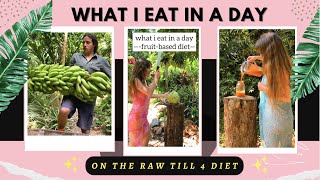 What I eat in a day on The Raw Till 4 Diet (off grid vegan!)